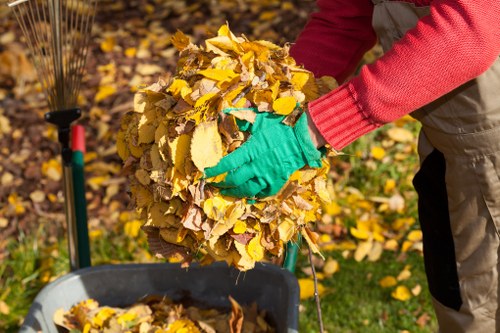 Professionals performing garden clearance in Putney